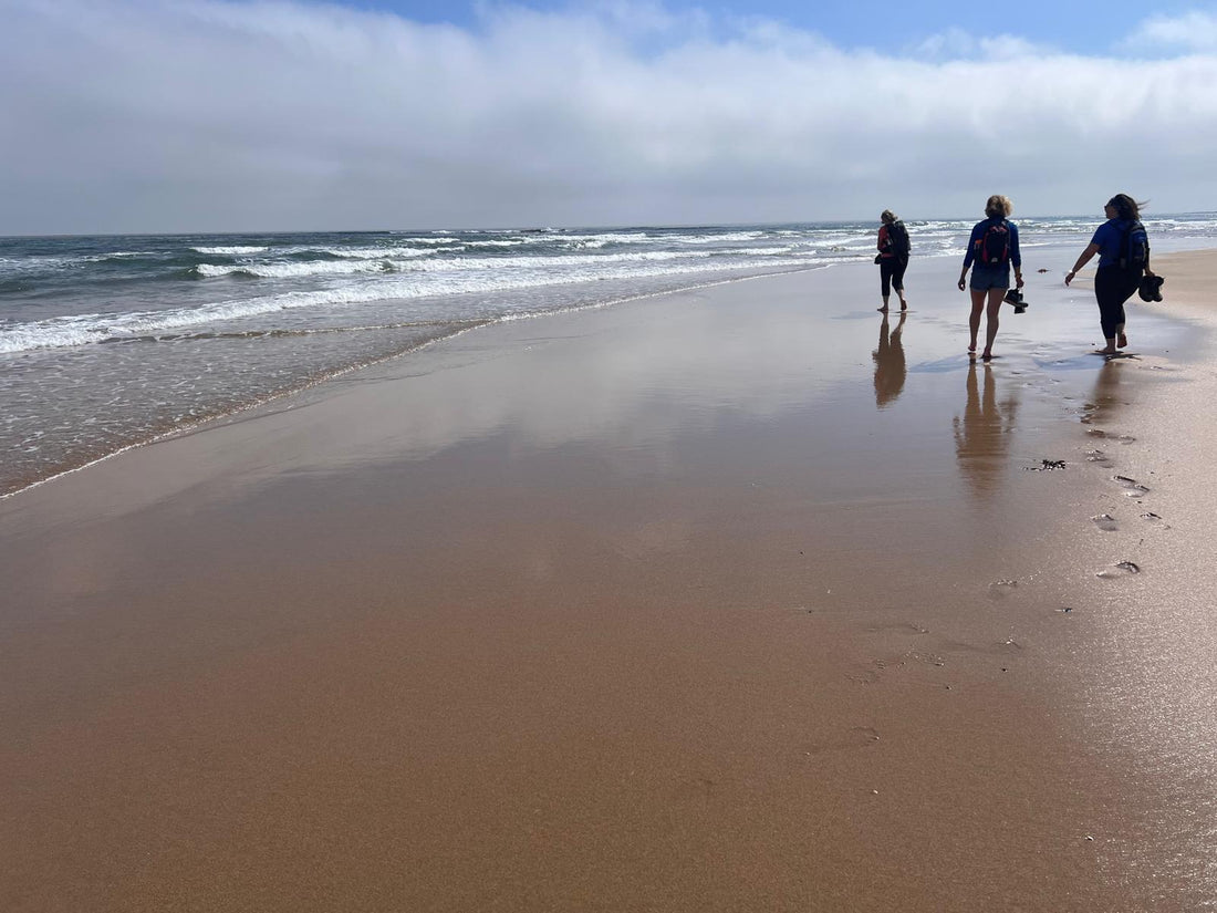 Photos from last week - The Northumberland Coast