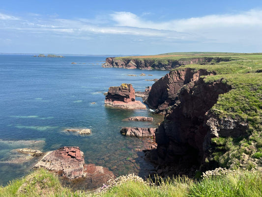 Pembrokeshire Coast - last week's trip