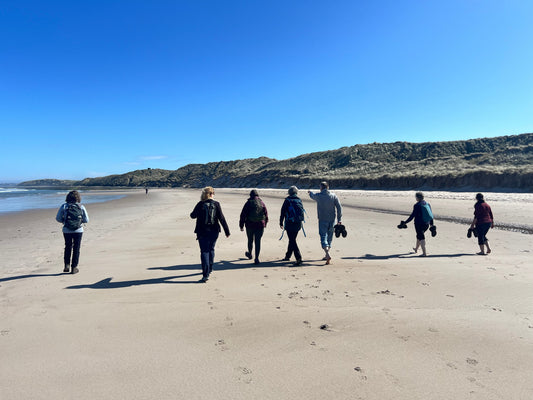 Northumberland Coast & Holy Island: photos from last week