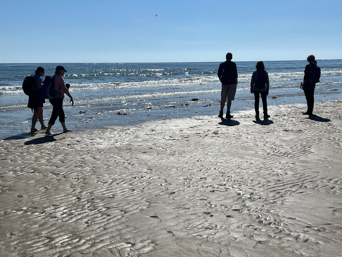Mental Health Awareness Week - How walking can help