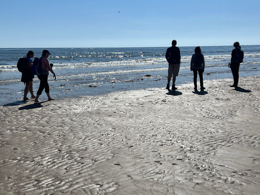 Mental Health Awareness Week - How walking can help