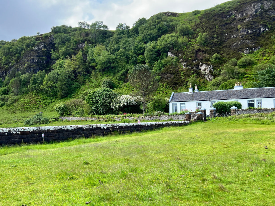Mull, Ulva, Staffa and Iona - photos from last week