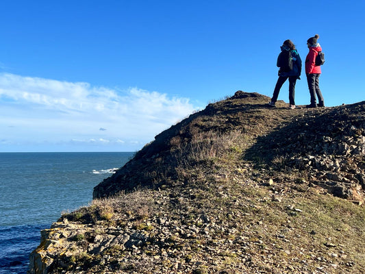 Photos from this week on the Northumberland Coast