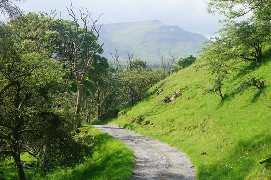 Yorkshire Dales Photos From Last Week