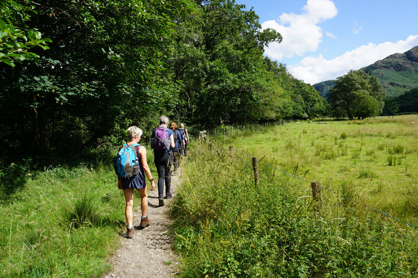 Borrowdale and Buttermere Easy Walks