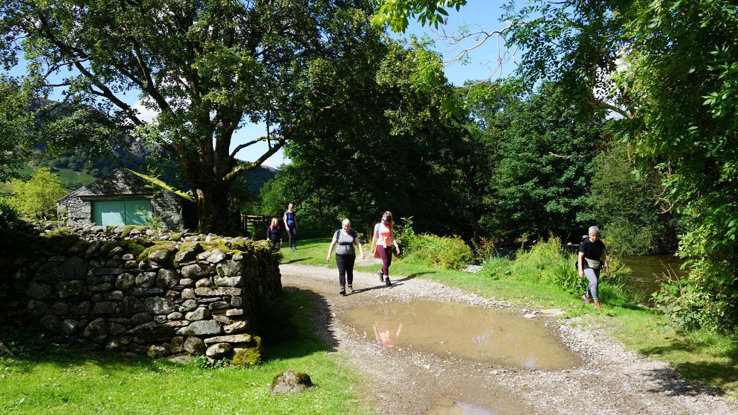 A group of people walking along a path in a lush green landscape with trees and a stone wall.