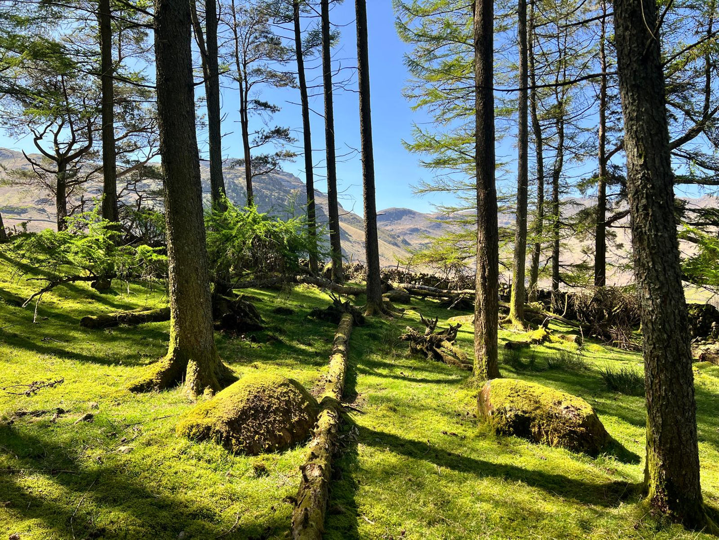 Langdale Valley Easy Walks