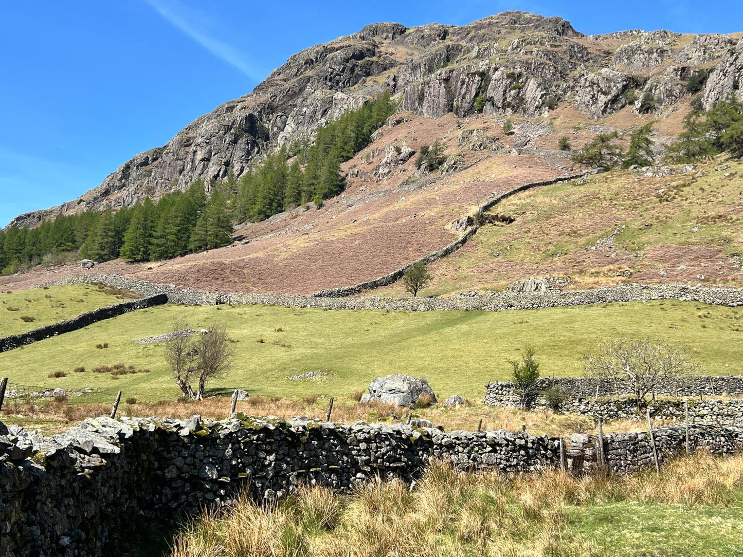 Langdale Skyline