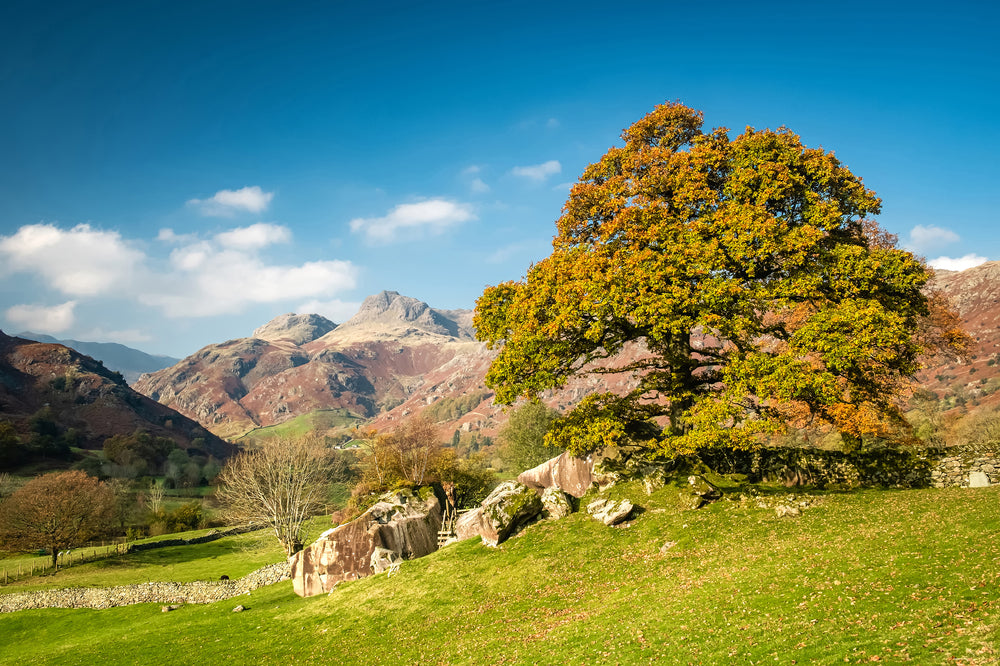 Langdale Skyline