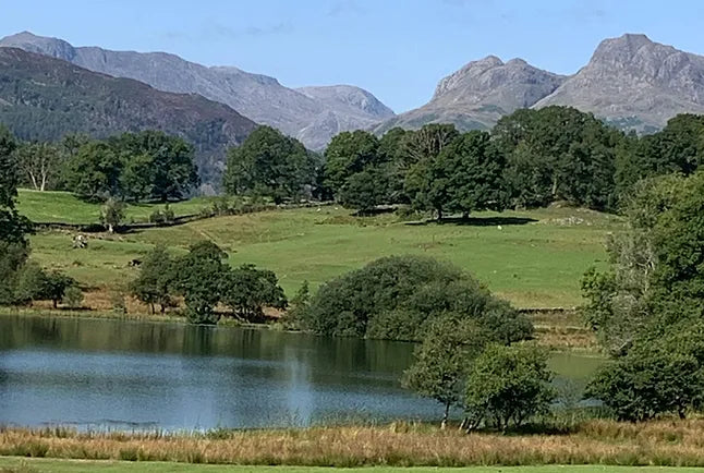 Langdale Skyline