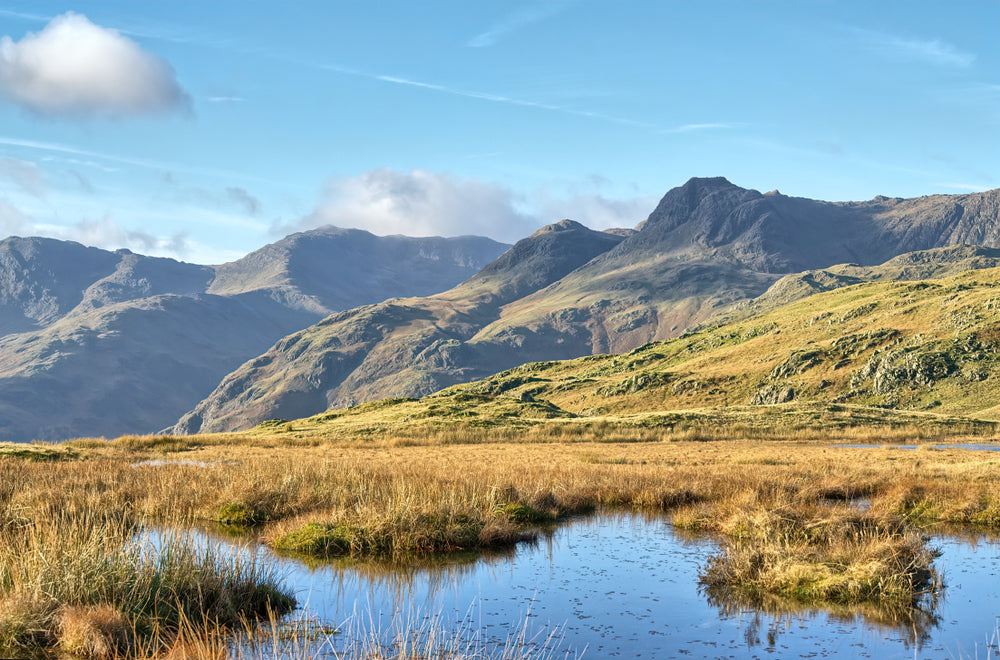 Langdale Skyline Walks