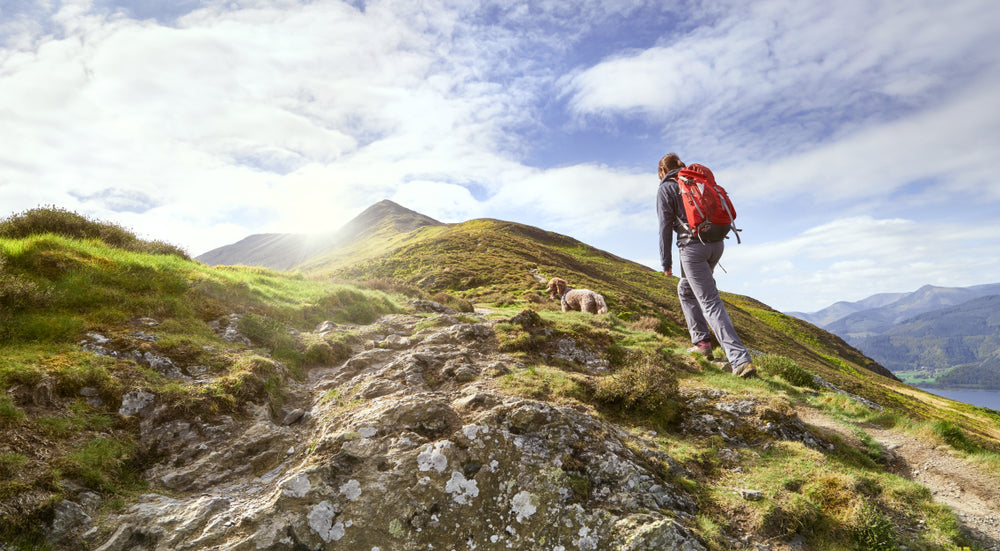 Langdale Skyline Walks